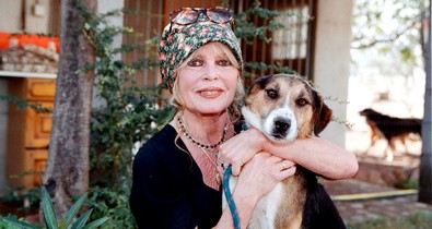 Brigitte Bardot megtörte a csendet: így reagált a 91 éves színésznő a futótűzként terjedő halálhírére