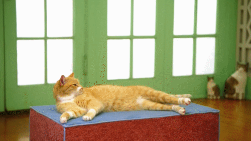 4 módszer, hogy olyan hosszú orgazmusod legyen, mint egy disznónak!