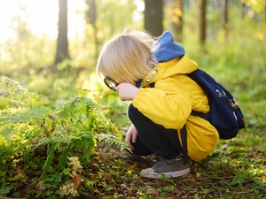Szülői értekezlet helyett szülői est, feleltetés helyett közösségi tanulás - ilyen egy Waldorf iskola belülről