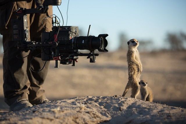 Izgalmas és hátborzongató részleteket mutatunk a National Geographic új sorozatának forgatásáról