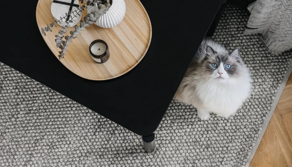 Praktikus és stílusos kiegészítők, amiket a GLAMOUR-napokon is beszerezhetsz