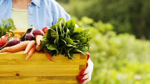 Nyári tippek a tökéletes kerti pillanatokért