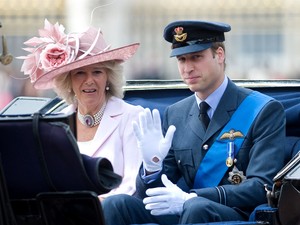 Vilmos herceg világossá tette, hogy Kamilla nem a gyerekei nagyanyja