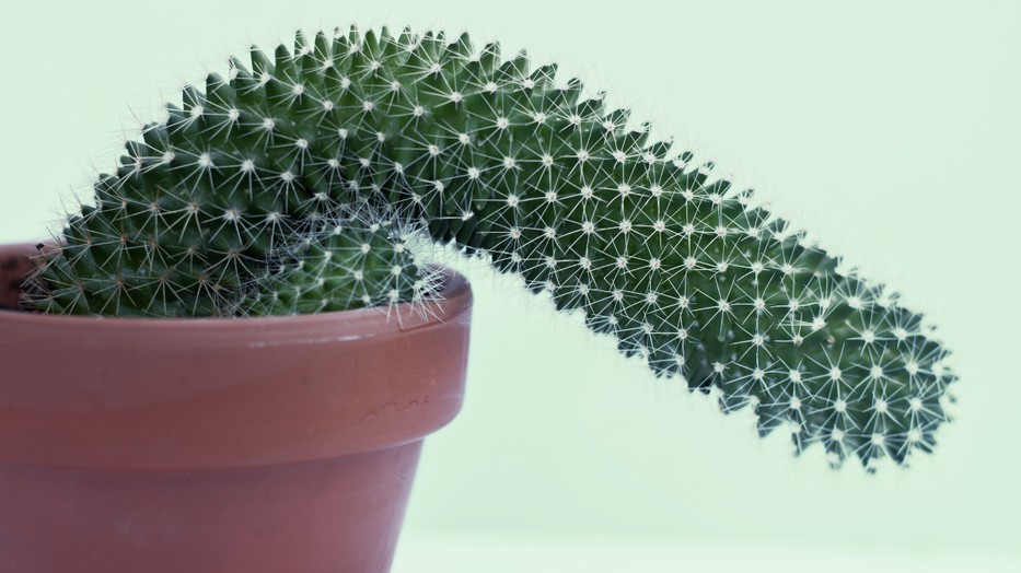 Egy igazságosabb világban a férfi mer nemet mondani a szexre, ha nem kívánja az, és nem is egy nőtől várja el az állandó kielégülést