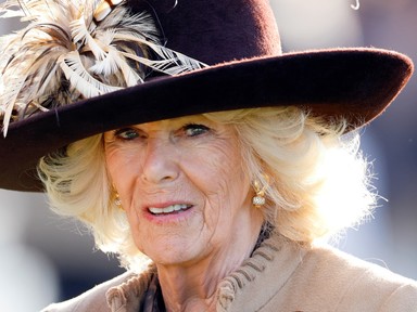 Szokatlan ruhában fotózták le Kamilla királynét, ritkán látni ennyire harsány színben