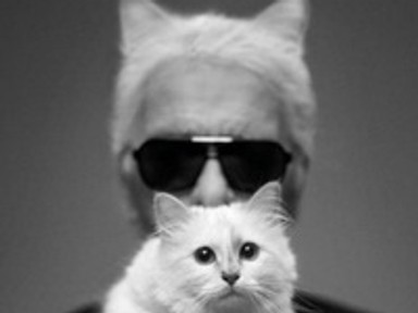 Lagerfeld szerzett pasit Vanessa Paradisnek