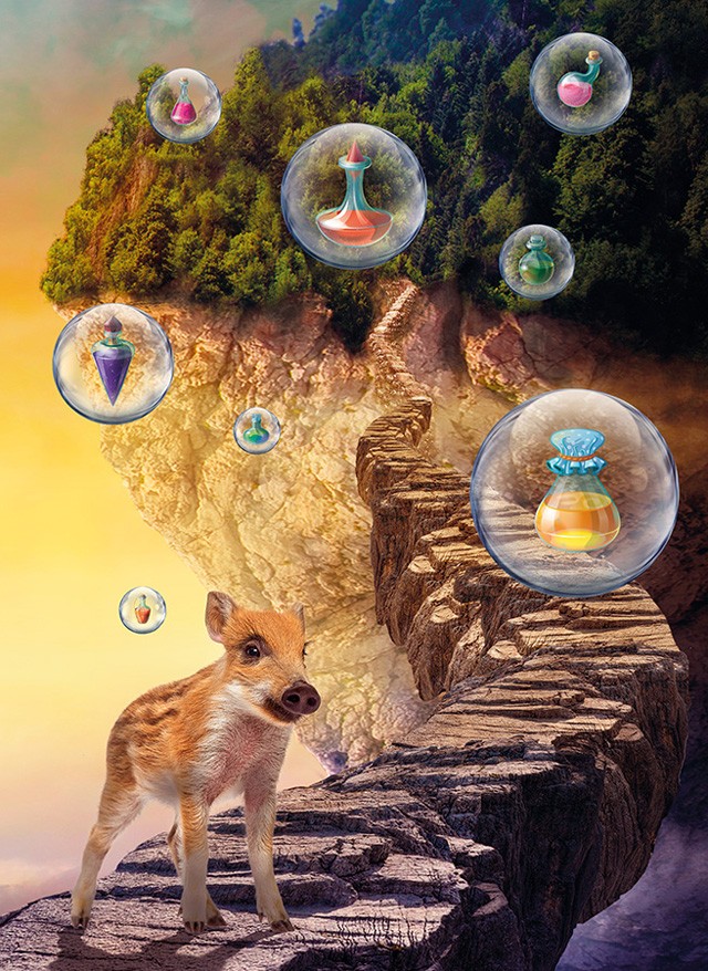 bűvös erdő kiállítás