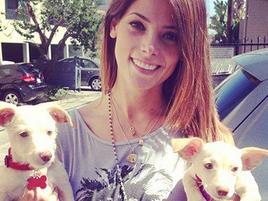 Interaktív - Ez történt a sztár- és modellvilágban az elmúlt héten