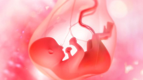 A köldökzsinór a terhesség kilenc hónapja alatt összeköt, de mi a szerepe pontosan?