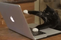 Ez az 5 legkoszosabb dolog az irodában, amitől beteg lehetsz