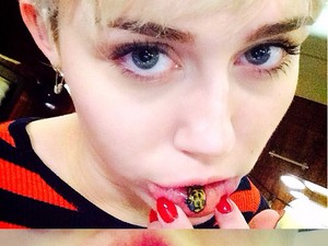 Hihetetlen, Miley megint mit művelt!