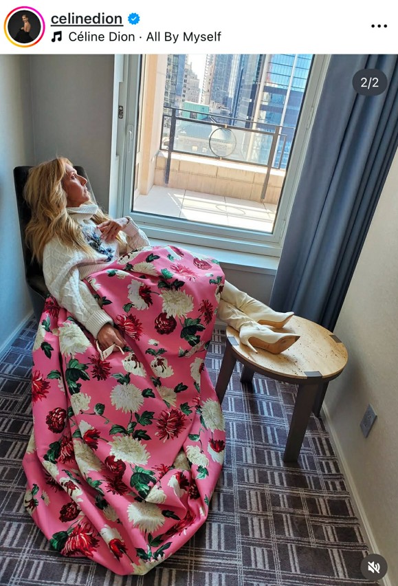 Céline Dion gyönyörködik a New York-i panorámában