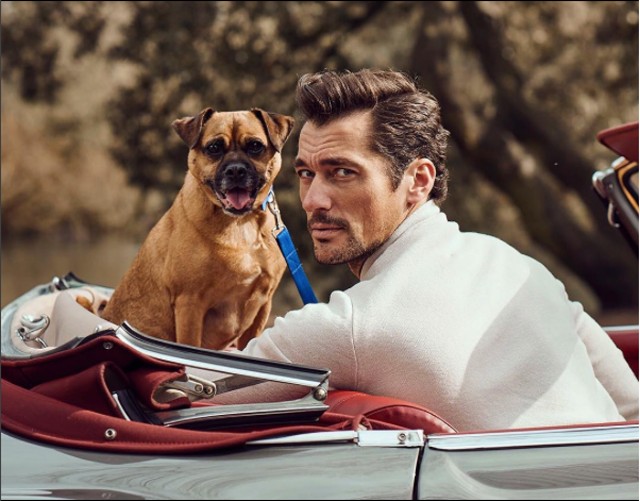 David Gandy topmodell