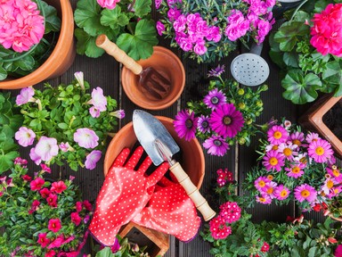 Súlyos hibát vétesz a kertben, ha tavasszal elköveted ezt a 4 dolgot!