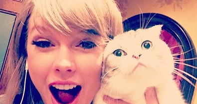 Taylor Swift macskája Victoria Beckhamként pózol Instagramon!