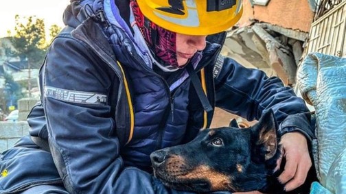 „Ha hívnak minket, menni kell" - Solka, a magyar kutya és gazdája, Erzsébet életet mentettek Törökországban