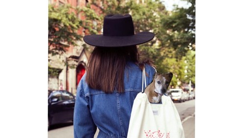 A New Yorkban élő magyar stylist divattervezővé avanzsál