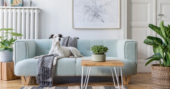 5 kérdés, amit tegyél fel ingatlanvásárlás előtt, mert akár milliókat spórolhatsz