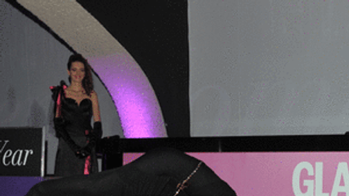 Palvin Barbi cigánykerékkel ünnepelt