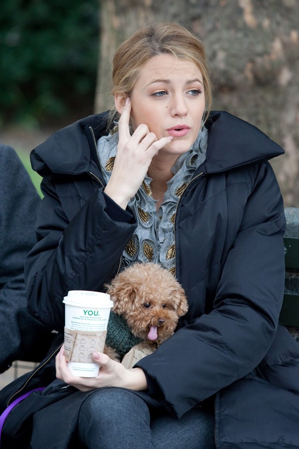 Blake Lively kapcsán a cukiságmérő nem csak decemberben született kisbabája miatt akad ki, de Penny nevű kiskutyáját sem lehet szó nélkül hagyni. Blake 2005-ben kapta Pennyt ajándékba. A kutyus azóta egy centit sem nőt és leginkább egy védtelen plüss medvére hasonlít. A rosszmájú rajongók több hozzászólásban is ércelődnek azzal, hogy a kis Penny inkább tartozik a cica, mint a kutya kategóriába, de véleményünk szerint ez egyáltalán nem számít. 