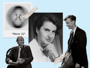 Férfiak kaptak Nobel-díjat az ő felfedezéséért, a történelem pedig majdnem elnyelte a nevét