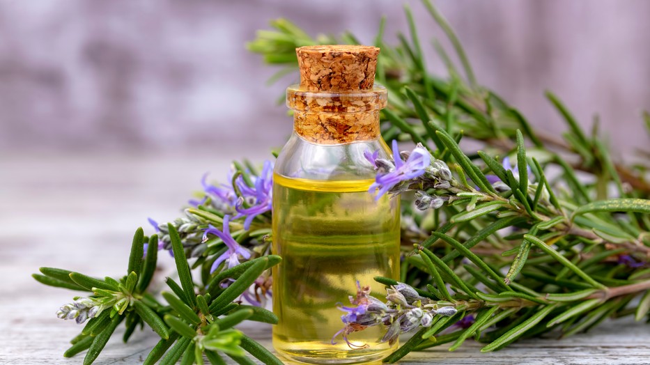 Mielőtt kipróbálnád a rozmaringolajat, olvasd el ezt!