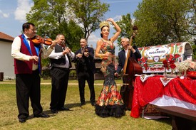 Sugarbird MORE roma kultúra inspirálta kollekció  Fotó: Kovács Natália/Sugarbird