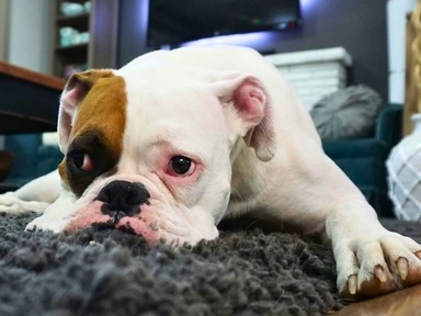 Ezért legyen olyan lakásbiztosításod, ami akkor is fizet, ha beüt a krach