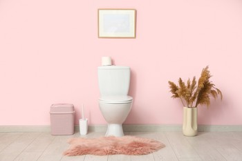 A nagymamáink tudták: ezért nem szabad soha nyitva hagyni a WC-ülőkét éjszakára