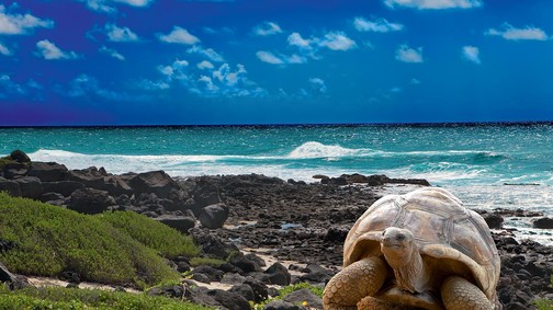 Megtaláltuk az Indiai-óceán egyik legszebb szigetországát - Fedezd fel velünk Mauritius-t!