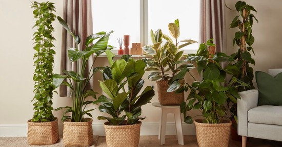 9 hétköznapi tárgy, ami titokban balszerencsét hozhat