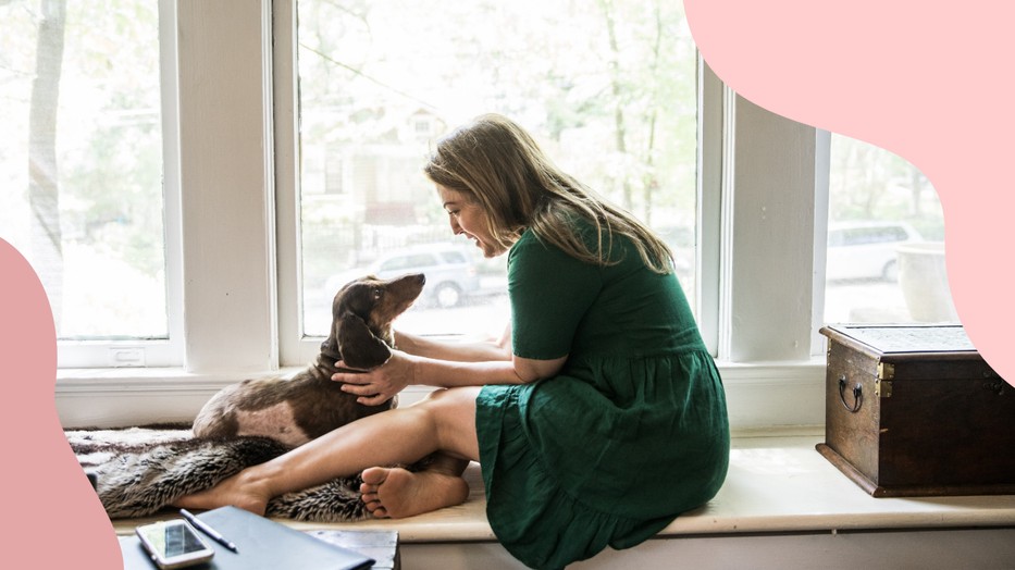 5 dolog, amivel a kutyusod azt sugallja, hogy szeret