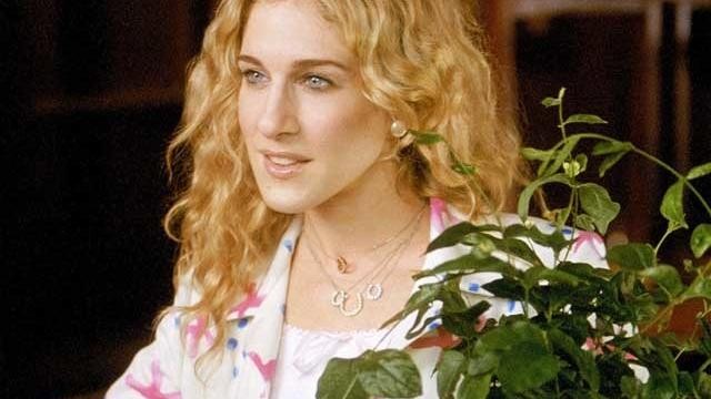 Horoszkóp: Ez a szobanövény illik hozzád a csillagjegyed szerint