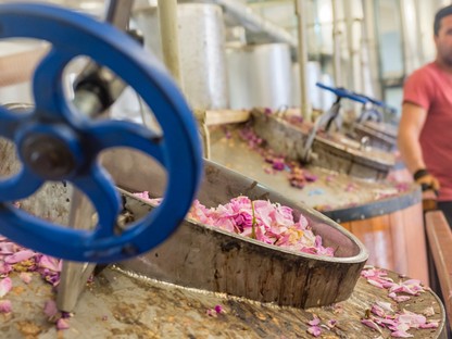 Elképesztő, hogy hogyan kerülnek bele a természetes összetevők szépségápolási termékeidbe