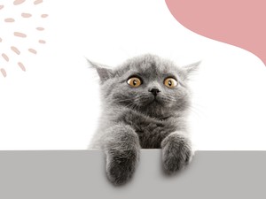 Ezektől a húsvéti nyusziktól mi is frászt kaptunk, hát még a gyerekek...