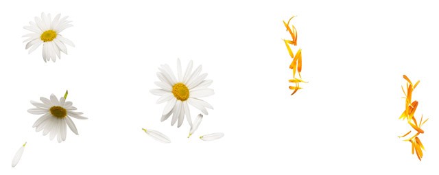 L&#8217;ORÉAL - ProSource Essentielle 