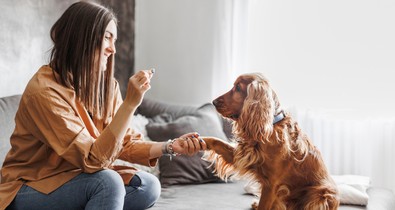 A kutyák jobban hallgatnak a nőkre, és már a tudományos okát is tudjuk
