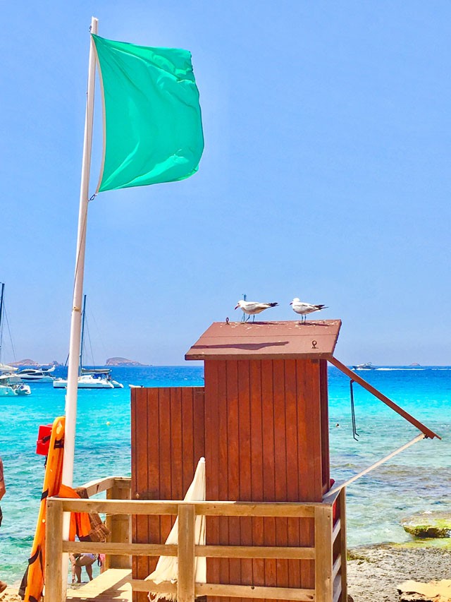 Noémi imádja a Calzedonia bikinijeit!