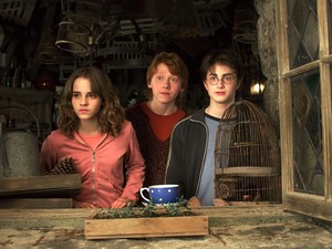 Kiderült, kik alakítják a Harry Potter ikonikus szerepeit a sorozatban, és ennél nagyobb nem is lehetne a felháborodás