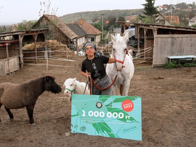 „Sírtam, annyira boldog voltam” - Fogyatékossággal élő lovasterapeuta nyerte el a kétmillió forintos ösztöndíjat