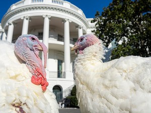 Hálaadás nélkül is érdemes hálásnak lenni - A hála szerepe a mentális egészség és boldogság megőrzésében