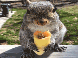 Ma kezdd el a diétát - Egymondatos horoszkóp - augusztus 13. hétfő