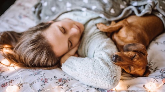 Kiderült, ajánlott-e a kutyával aludni a pszichológusok szerint