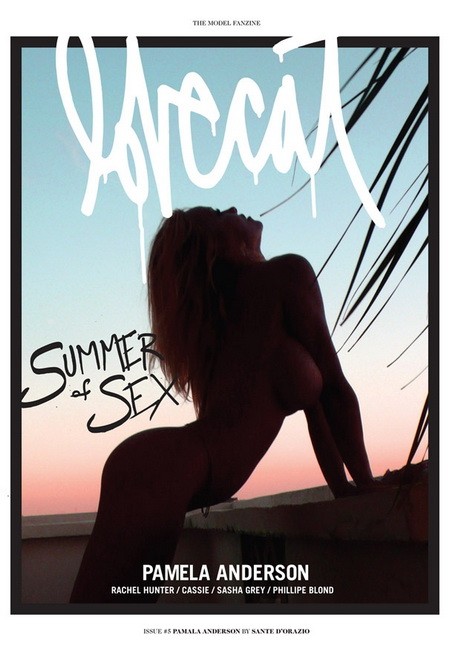 lovecat, pamela anderson, carmen electra, vetkőzés, baywatch