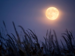 Ez az év legerőteljesebb teliholdja és 3 dologra figyelmeztet most