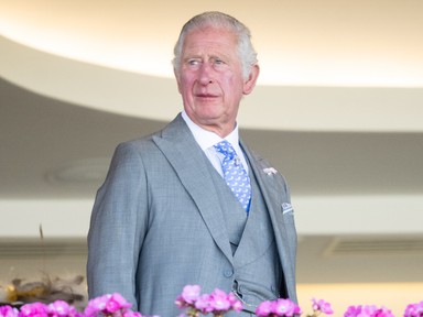 Kiderült, mennyi fizetést kap Károly király