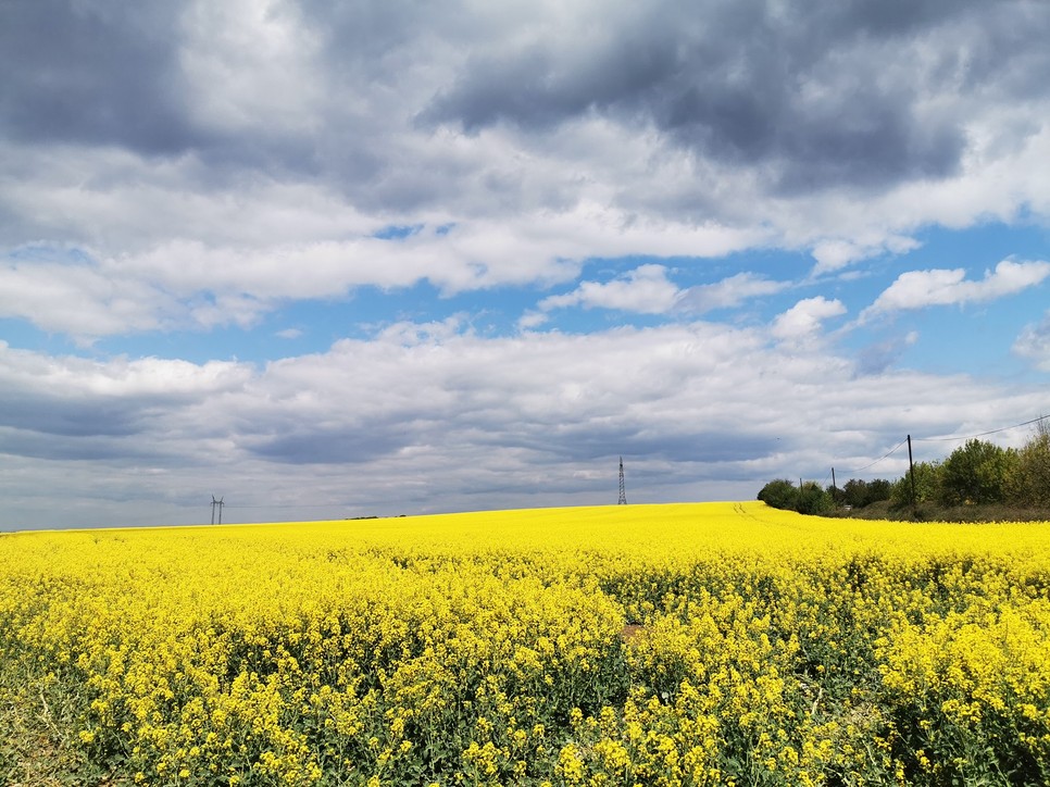 Ha a fotód mesélni tudna...Te milyen fényképeket szoktál készíteni a mobiloddal?
