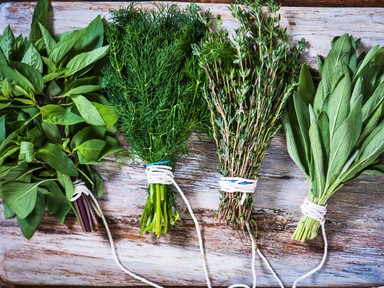 Most azonnal szerezd be ezt a két fűszert, igazi védőpajzs az Alzheimer-kór ellen