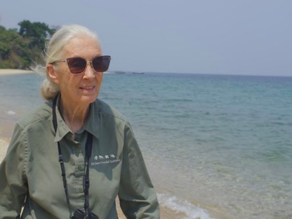 Elképesztően izgalmasnak ígérkezik a Jane Goodallról szóló dokumentumfilm