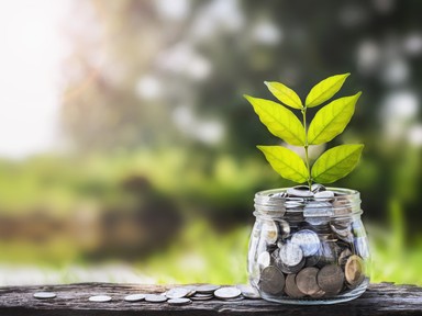 A zöld bankolás lehet a jövő?